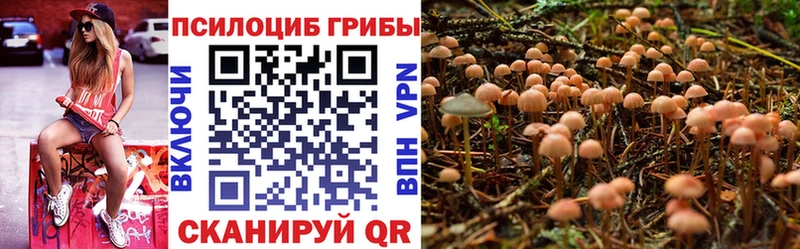 Галлюциногенные грибы прущие грибы  Отрадное 